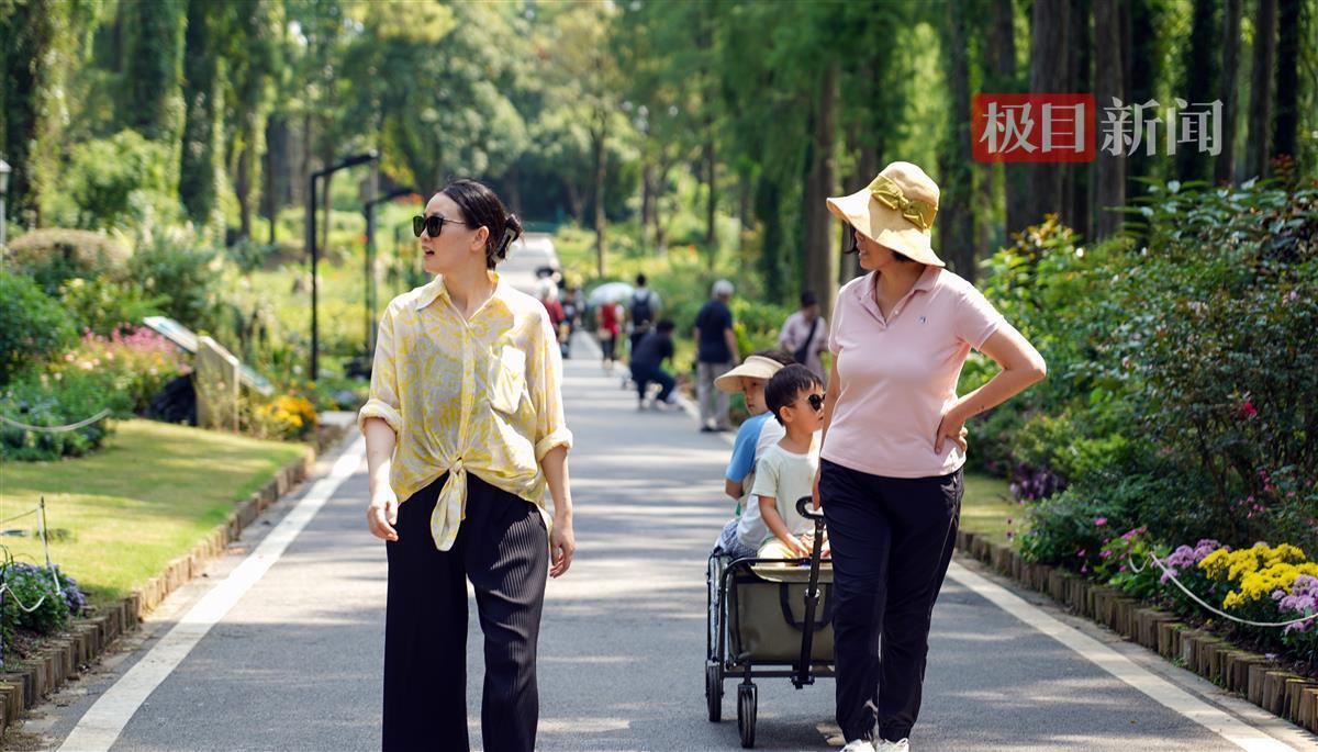 大阳城登录网站